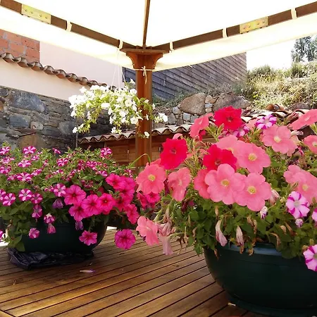 Guest house Quinta Casal Maio Serta