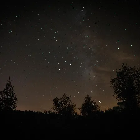 Quinta Casal Maio ゲストハウス